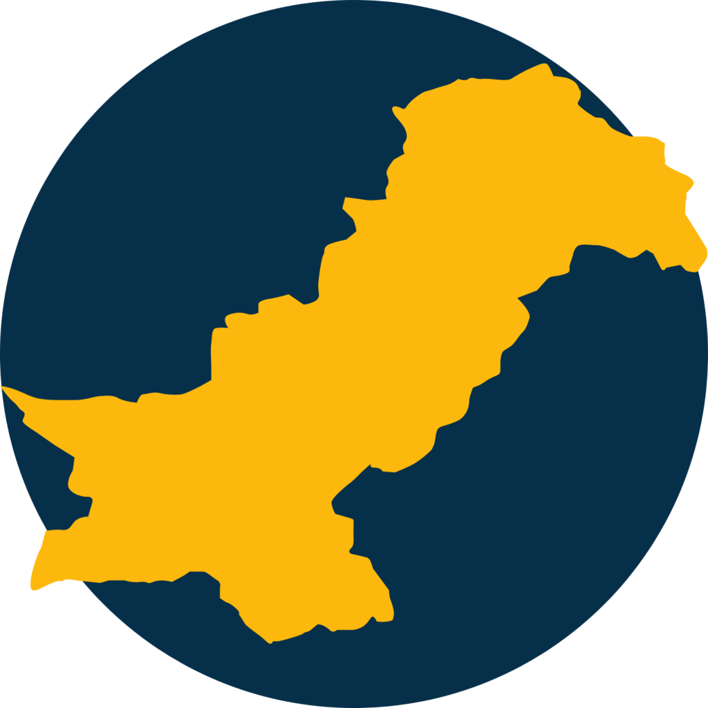 SEO Company Pakistan Icon