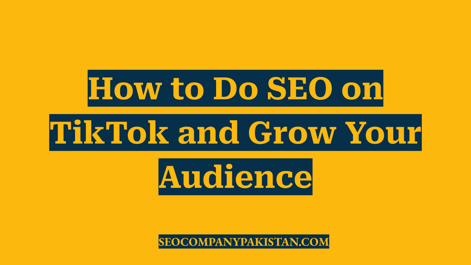 How to Do SEO on TikTok and Grow Your Audience