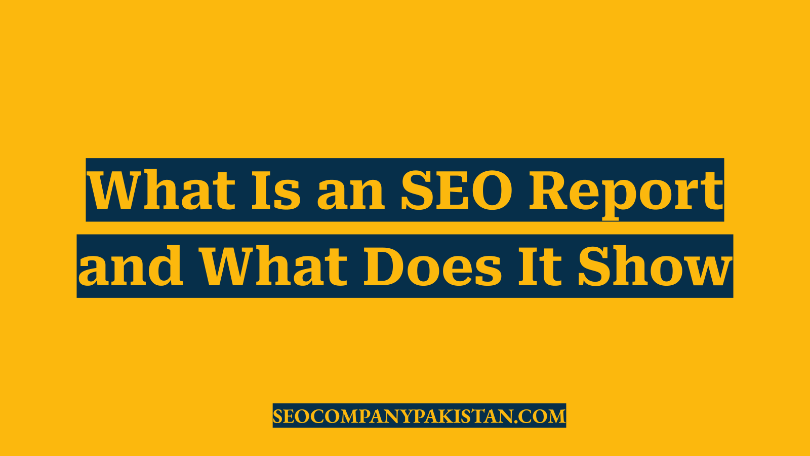 What Is an SEO Report and What Does It Show