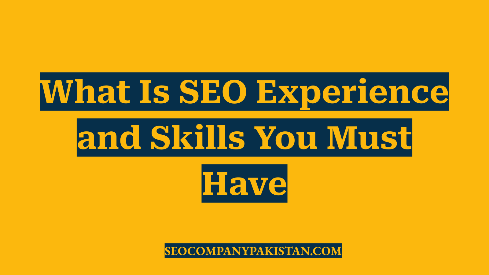 What Is SEO Experience and Skills You Must Have