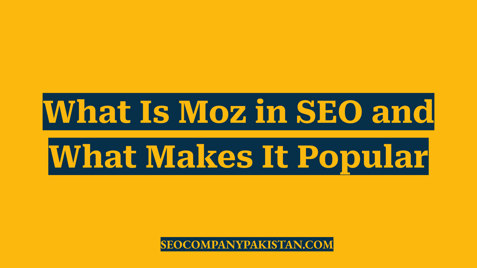 What Is Moz in SEO and What Makes It Popular