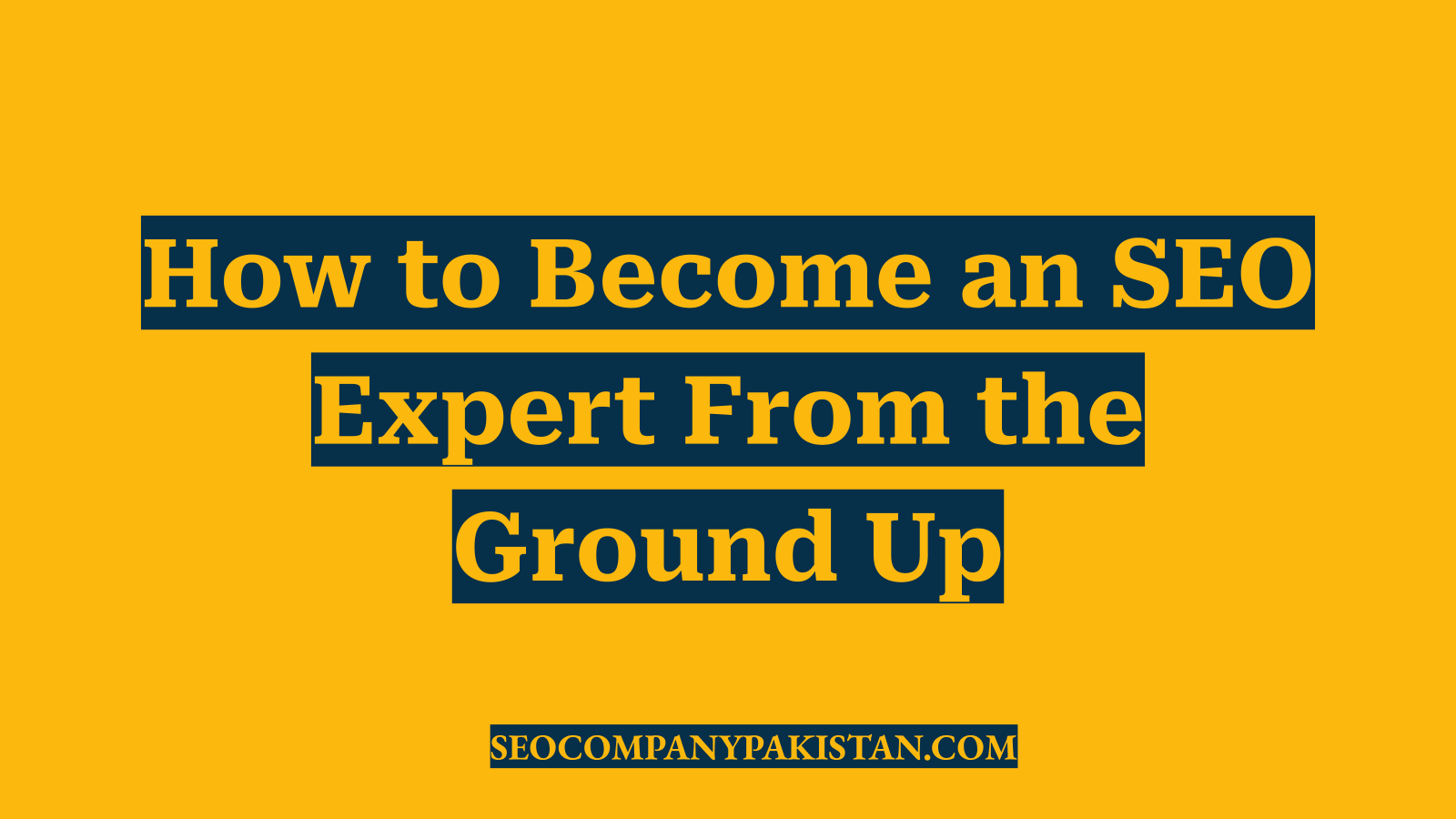 How to Become an SEO Expert From the Ground Up